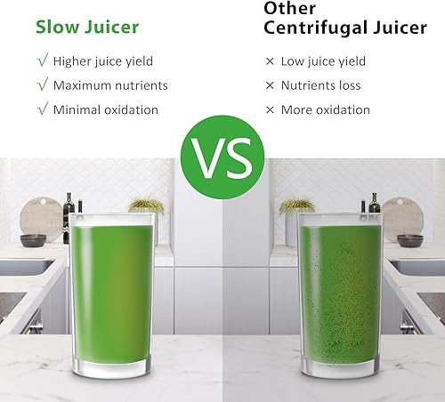Miniatura 2 de Masticación de exprimidores, Apio Lento Juicer Máquina de Prensa Fría Exprimidor para ApioVegetalTrigo, Extractor de Jugos y Vegetales, Máquina