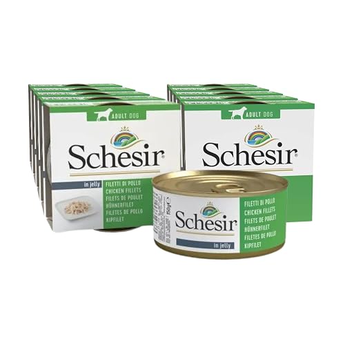 Schesir Dog Jelly Gallinas filetear (Pack de 10, 10 x 150 g)