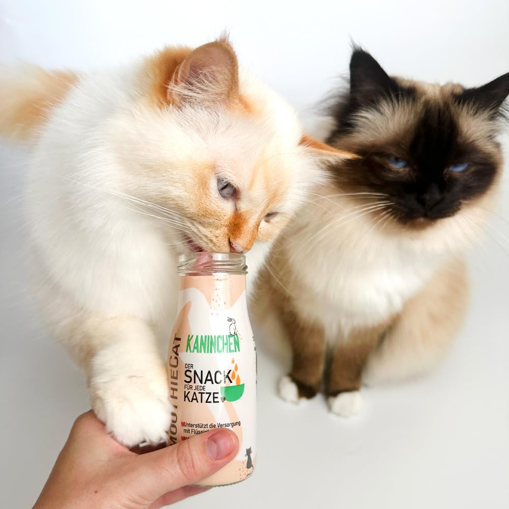 Katzen Smoothie SmoothieCat 8er Mix - je 2X: Huhn, Ente, Fisch, Kaninchen - Flüssignahrung für Katzen - Katzensuppe - Katzenmilch - Zucker- & glutenfrei - je 150ml