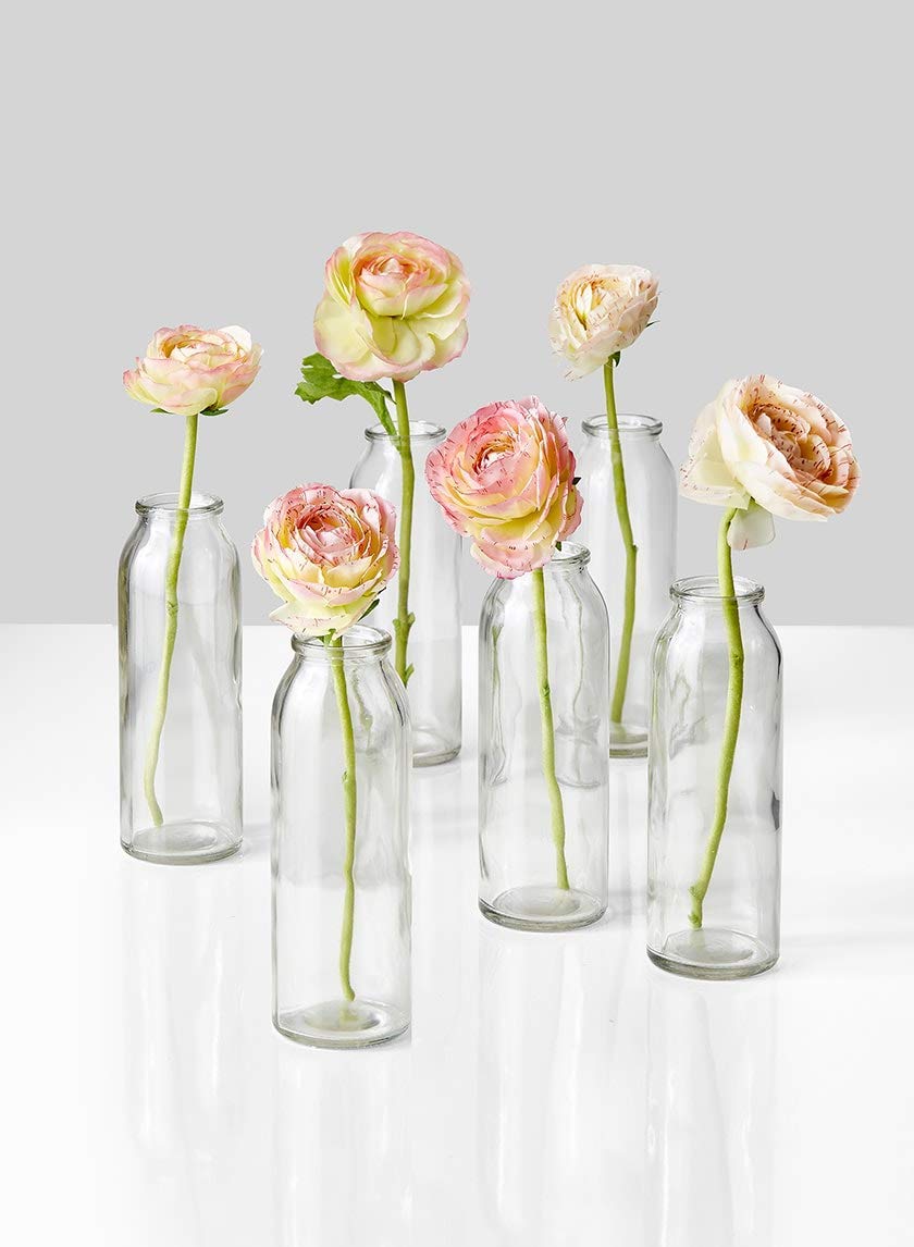 Amazon.co.jp: Serene Spaces Living 6個セット 透明ガラスの