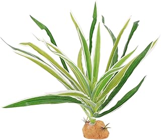 Plantas De Paisagismo De Répteis Plantas De Répteis Muicle Planta Terrários De Vidro Natural Para Plantas Decoração De Habitat De Tanques De Animais Enfeites De Plantas De