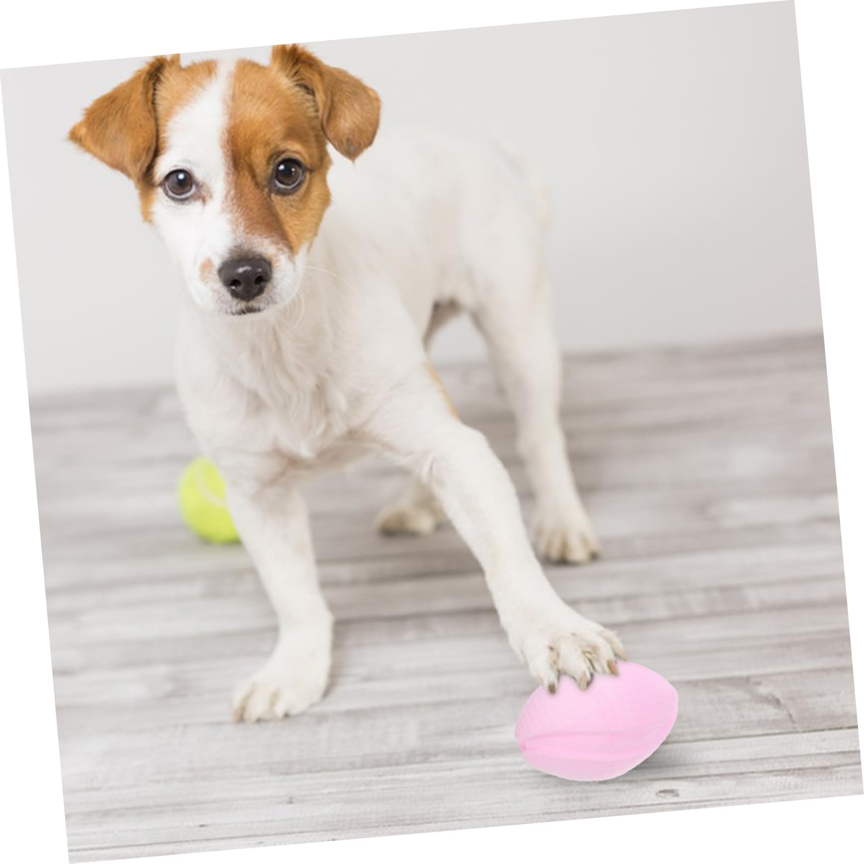 Sosoport 5pièces Balle à Mordre pour Chiens Jouet Flottant Résistant Morsure pour Chiots Et Animaux Actifs Parfait pour Extérieurs Nettoyage