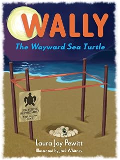 Wally, The Wayward Sea Turtle