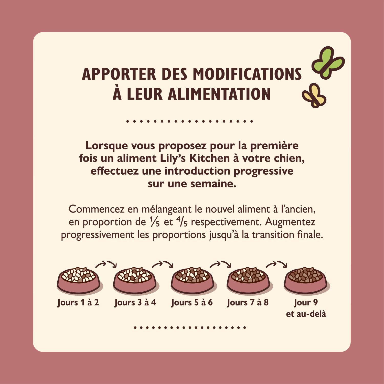 Lily’s Kitchen Fabriqué à partir d’ingrédients naturels Boîte d’Aliments humides pour Chiens Adultes au Terrine au Chevreuil, au Sanglier et aux Pommes de Terre 6 x 400g