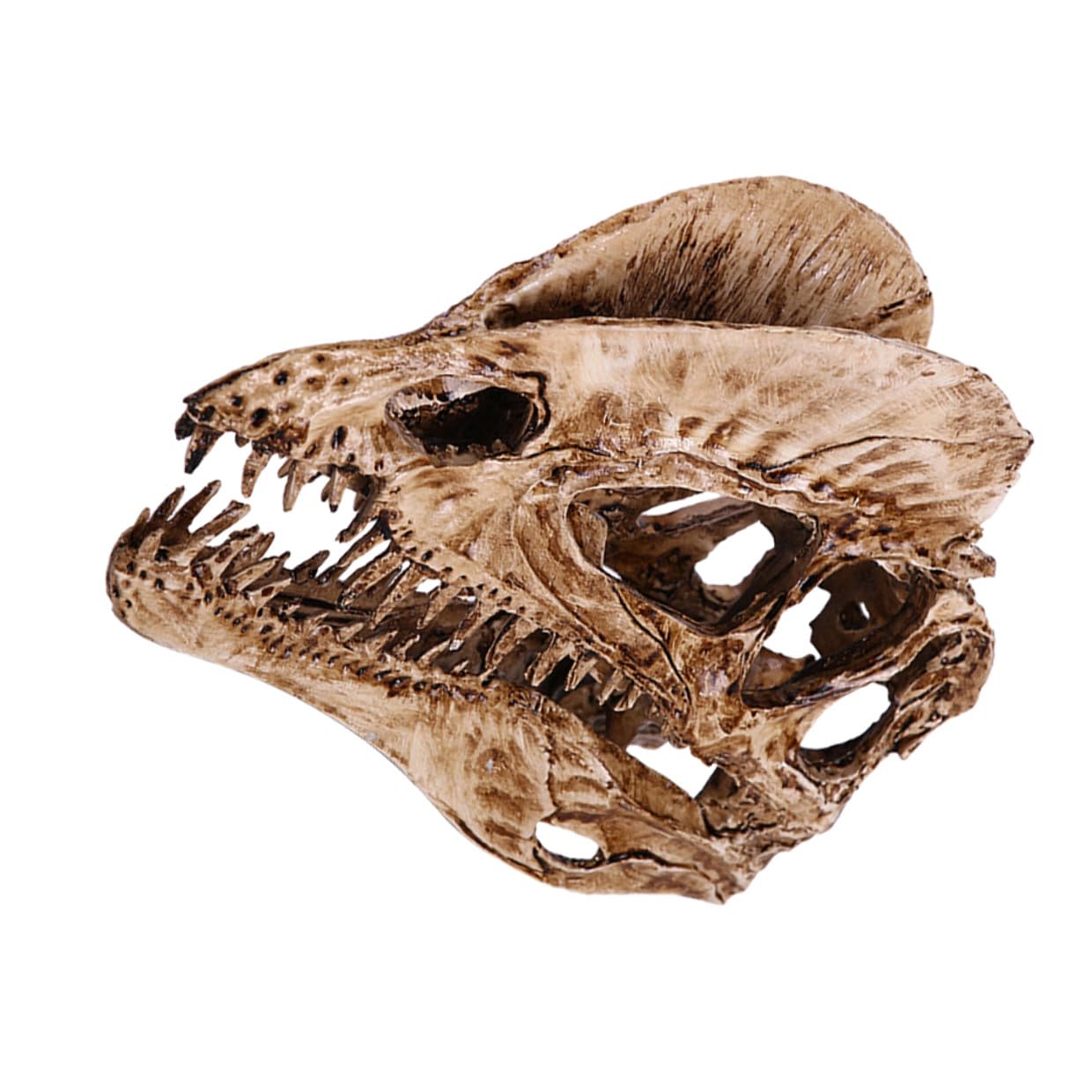Crâne dinosaure résine décor écologique : résout vos idées déco