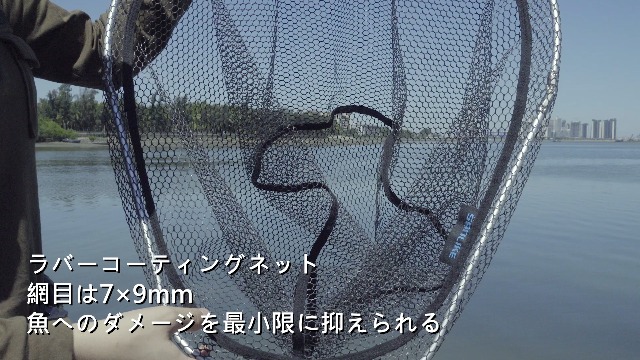 Amazon | サンライク(SANLIKE) タモ網 たもあみ 伸縮 3m/5m/6m