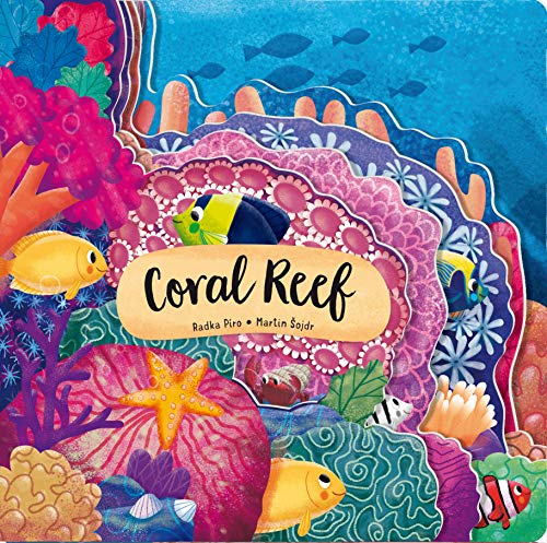 Discovering the Secret World: Coral Reef (Happy Fox Books) Board Book Teaches Kids Ages 3-6 about a...