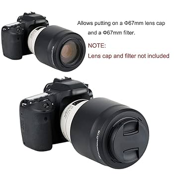 Canon70-300 ズームレンズ イメージスタビライザー ET-65B付き Canon70-300 ズームレンズ イメージスタビライザー ET-65B付き