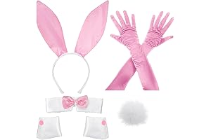 Bunny Costume Accessory Set, Embracing the Spirit of Cosplay