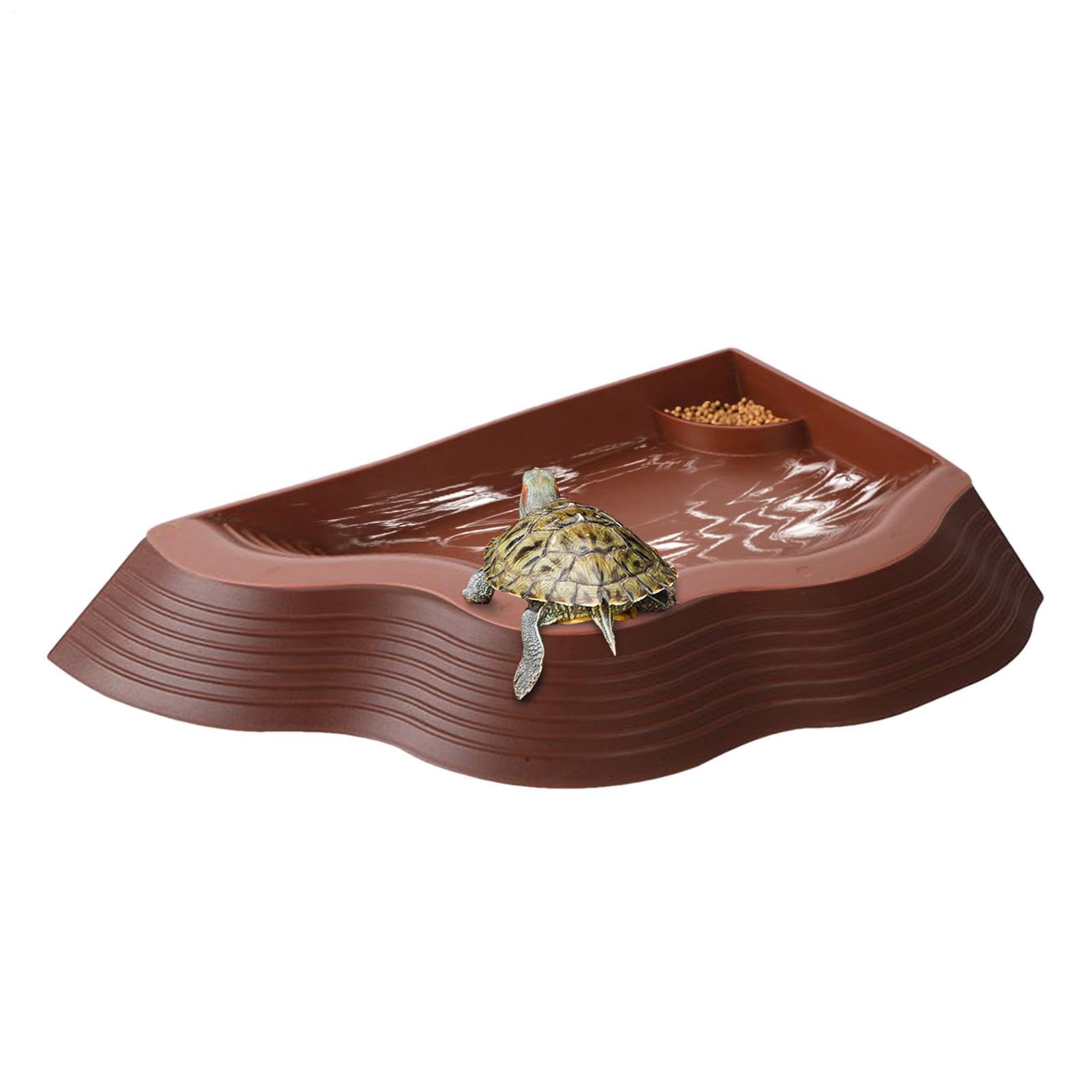 Piscina para reptiles antideslizante con rampa de acceso para tortugas y geckos