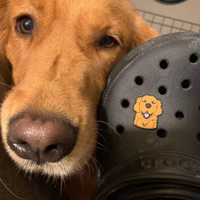 The Millenary Golden Retriever Dog Shoes Jibbitz Charms