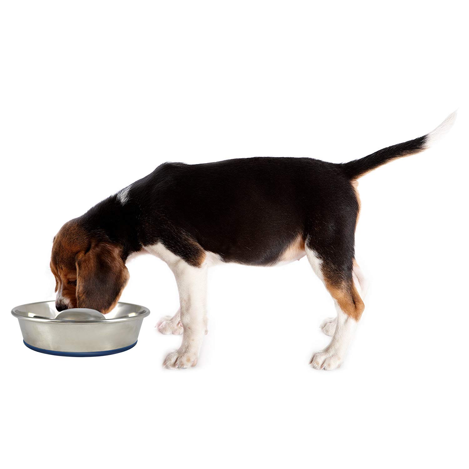 OurPet's DuraPet Slow Feed Premium Stainless Steel Dog Bowl, Silver (2040010301) - image 2