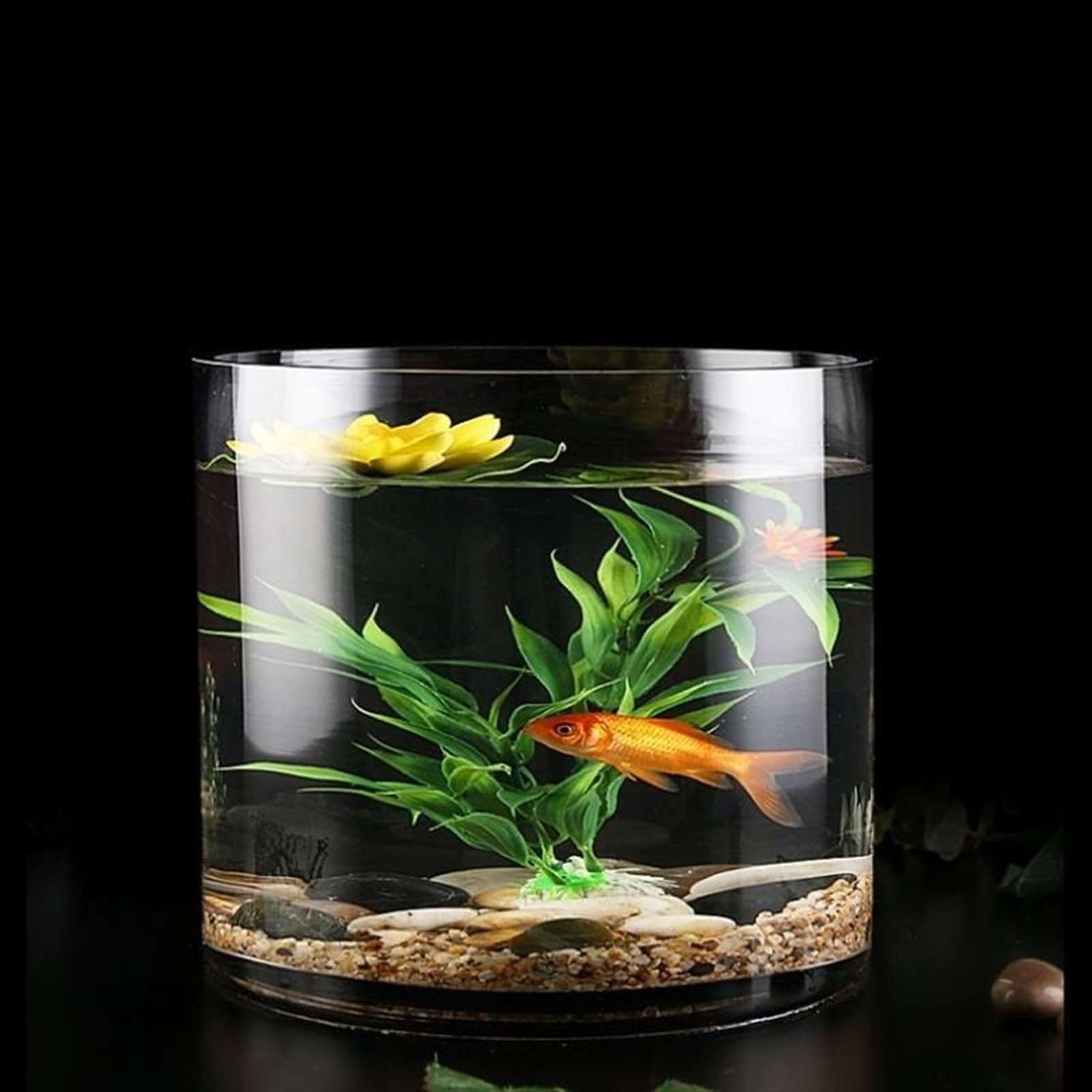 Poissons d'eau Douce Fleuriste hydroponique de Bureau d'aquarium Rond Transparent épaissi