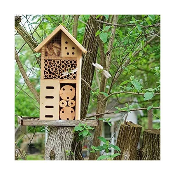 N / B Natürliches Insektenhaus aus Holz, Schmetterlingshabitat im Freien, viele andere nützliche Insektenhotels… – Bild 8