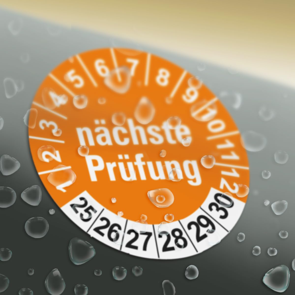 Hochwertige Prüfetiketten FD-3 NÄCHSTE WARTUNG Ø 30mm - Selbstklebende PVC-Folie - Wartungsetiketten für Prüfung - Prüfplakette für Prüfungsnachweis (1000 Stück)