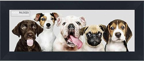 Poster Palooza Marco negro de 4 x 12 pulgadas de ancho de madera maciza de 1 18 pulgadas de ancho, acrílico UV, respaldo de tablero de espuma y