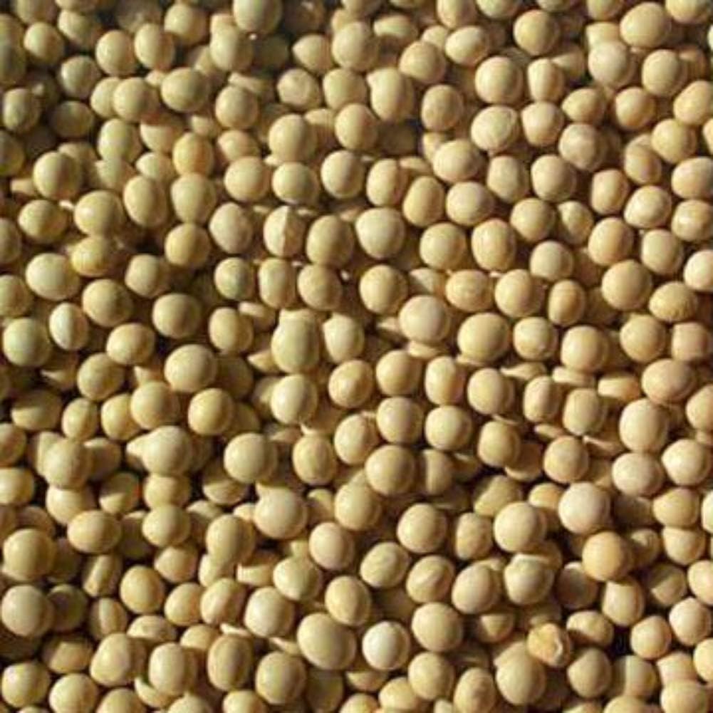 Signature Soy NONGMO Soybeans for Making Soymilk & Tofu
