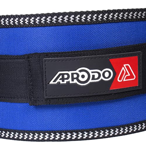 Image of APRODO Unisex 5'' inch Wide Nylon Eva Waist Support Belt Sport Pressurized Weightlifting Bodybuilding Fitness Squatting Training Lumbar Back Supporting Safety Belt