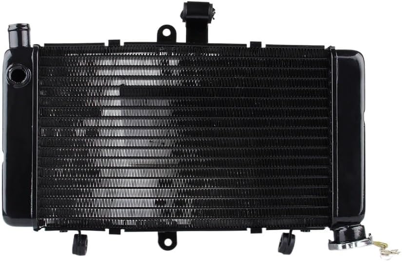 NSR50 mini ラジエーター 未使用 廃盤品