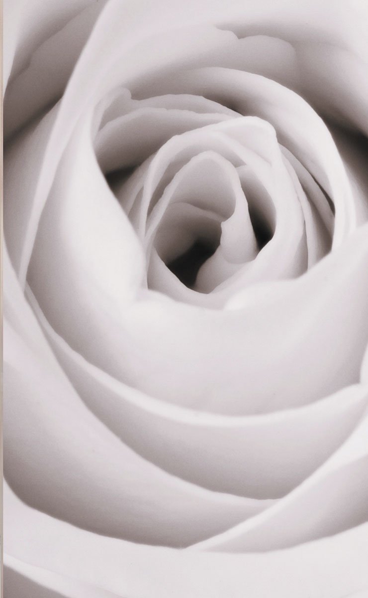 Gardinenbox 80400 Lot de 2 Rideaux coulissants Aspect Soie Sauvage et Panneau Voilage Rose 245 x 45 cm