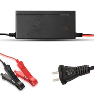 12V 10A LiFePO4 Battery Charger 14.6V Lithium Battery Smart Charger with Anderson Connector and Anderson to M8 Adapter Cable,for Lithium LiFePO4 Deep Cycle Rechargeable Batteries of Car Truck Boat RV - Amazon product rated Grade C