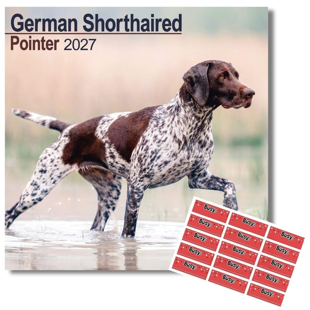 Avonside German Shorthaired Pointer 2027 Calendar with Organisational Stickers, 16 Month Square Wall Calendar (Sept 2026 - Dec 2027), UK Planner for Dog Lovers, For Home or Office, 11.6 x 11.6 in