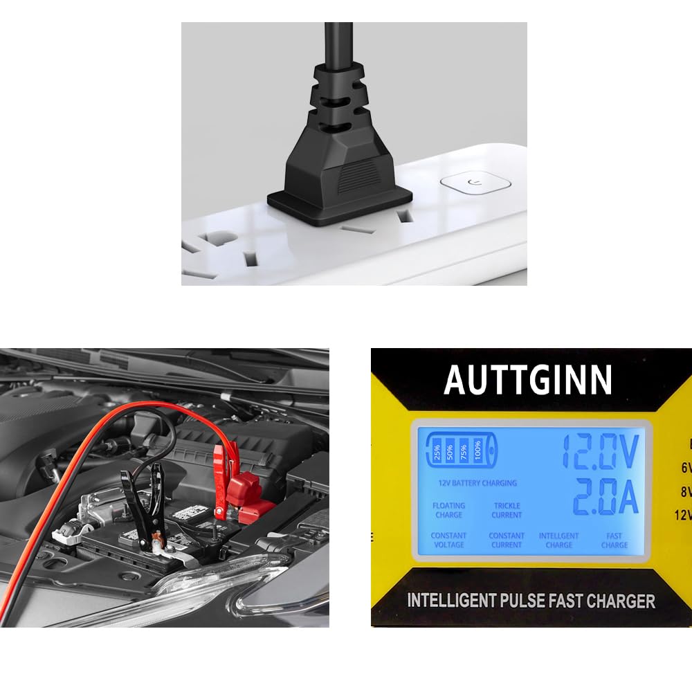 Cargador de batería inteligente, ajustable 0-10A, 6/8/12/14/16/24V, con pinzas de cable, para golf, coche y caravana