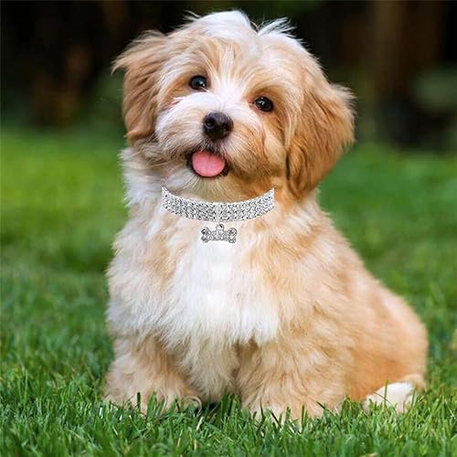 Miniatura 6 de Collar para perros y gatos, lindo collar de cristal brillante de 3 filas de diamantes de imitación para mascotas, joya brillante ajustable para