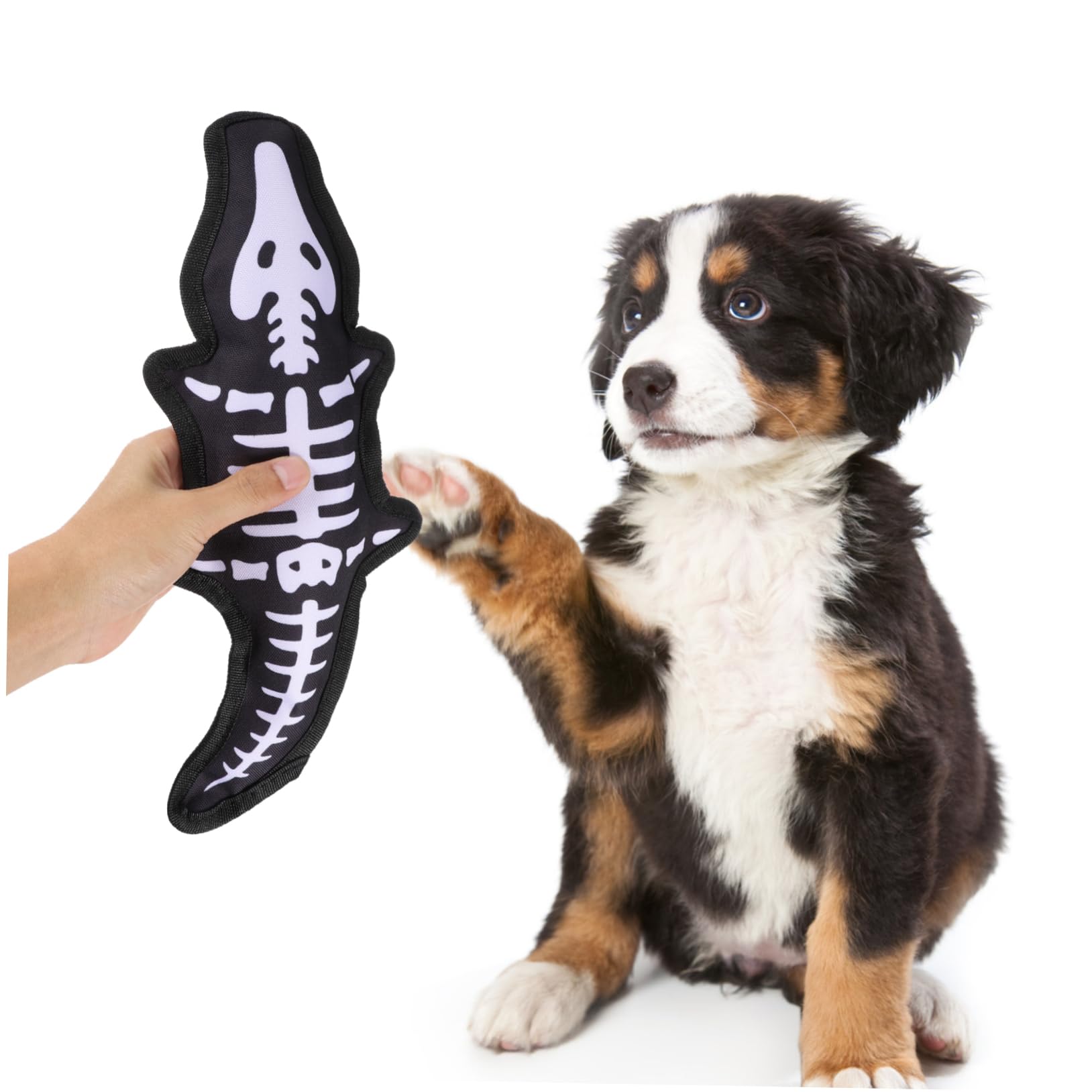 BESPORTBLE 1pièce Jouet à Mâcher pour Chiens Squeaky Jouet Molaire Interactif Oxford pour Petits Animaux Améliore Être Émotionnel Et Favorise La Santé
