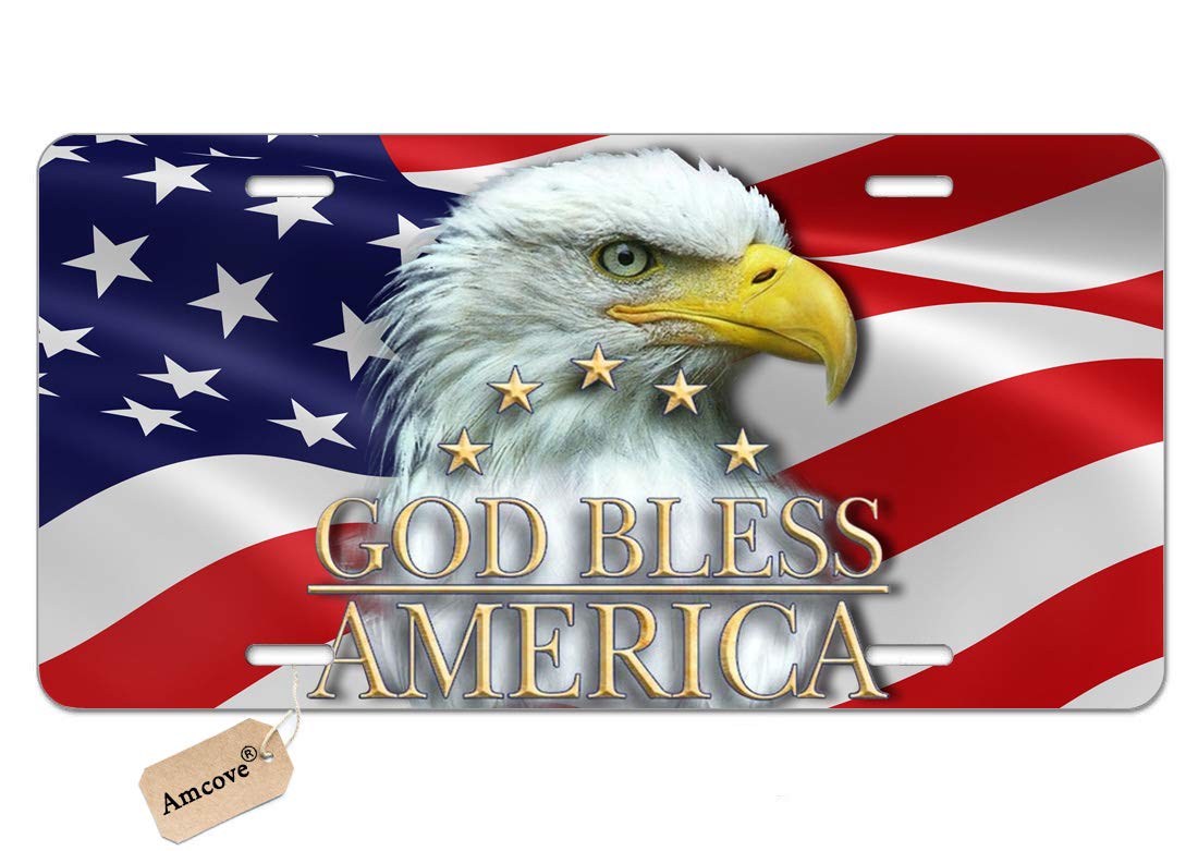 Bald Eagle USA Flag License Plate,American Flags with Letter God Bless American Novelty License Plate Decorative Front Plate,6 X 12 Inch