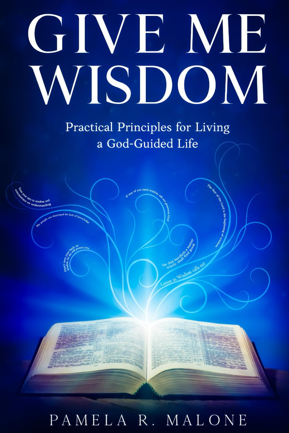 Give Me Wisdom: Practical Principles for Living a God-Guided Life