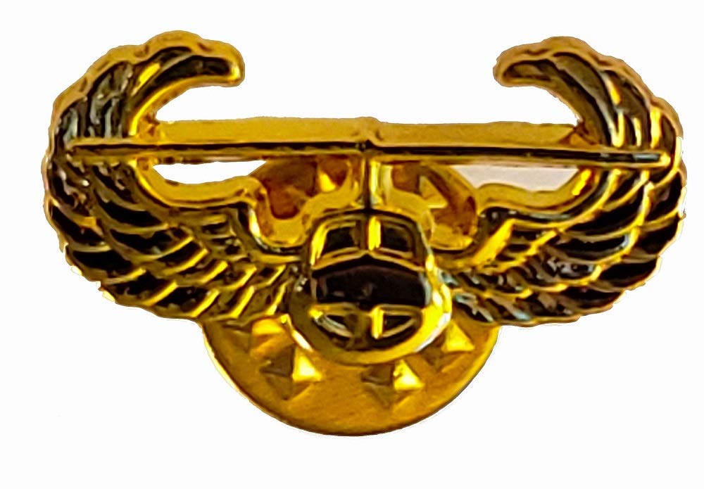 Ban Assault Weapons Pin US Army Air Assault Gold Wings Pin