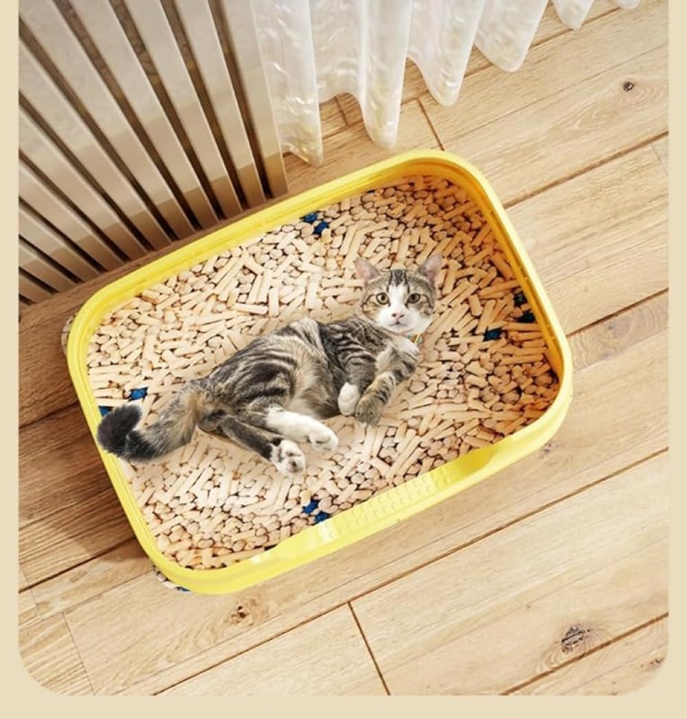 楽天市場】猫 トイレ 大型（トイレ用品｜猫用品）：ペット・ペット