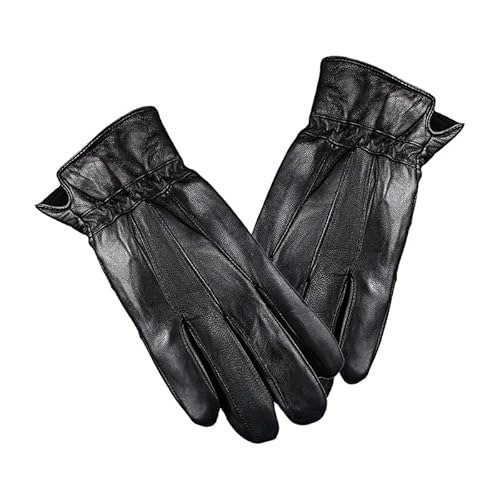 [ȓX] jp{v E[n XLiV[vXLjU[ h h {^ TCNO amp (M,)