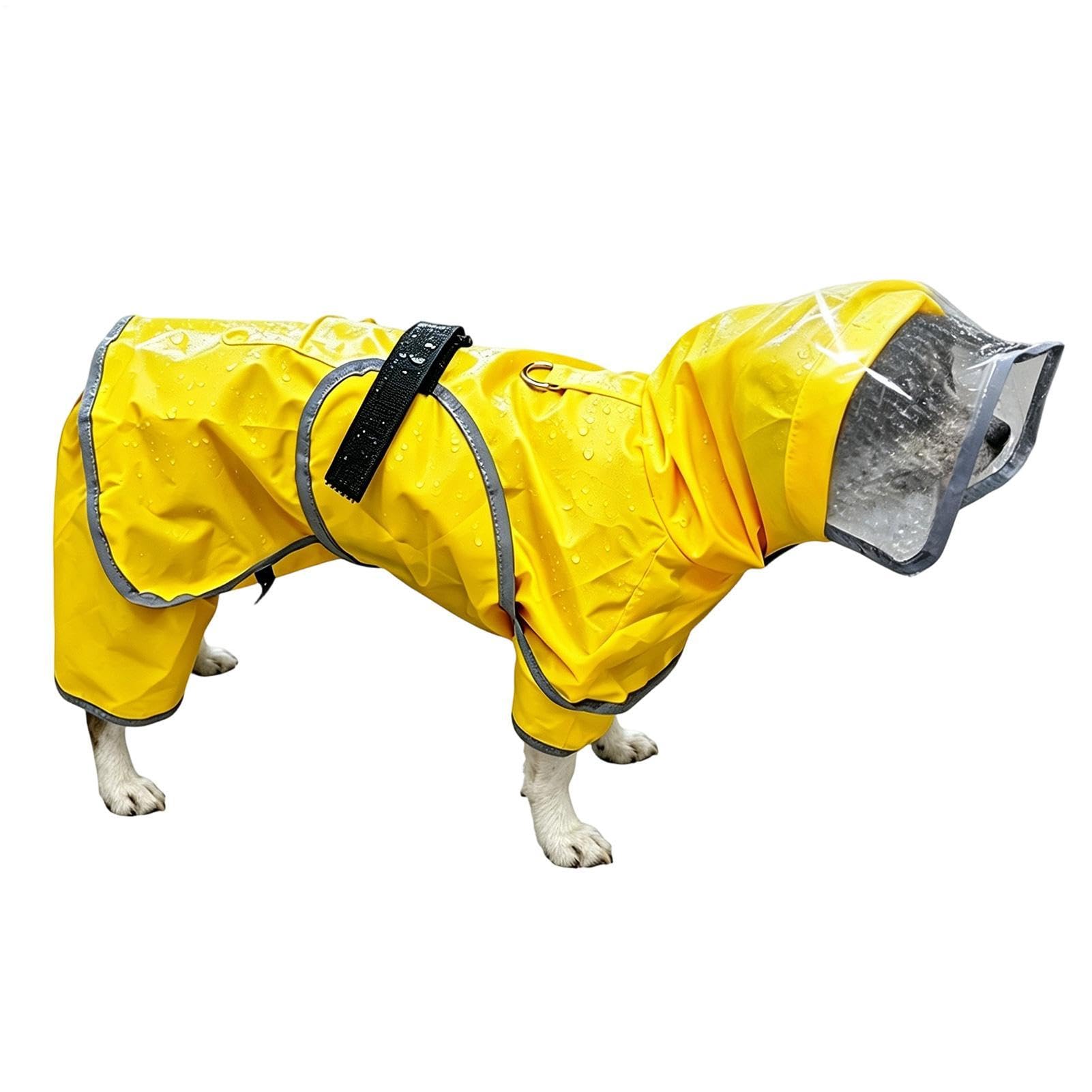 Impermeable para perro con capucha ideal para rutas de senderismo, camping y viajes familiares