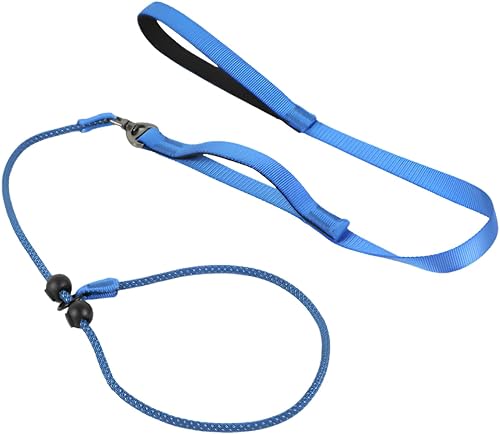 Kazazoo Slip Lead Dog Leash, No Pull Training Leash with Padded Handle for Small