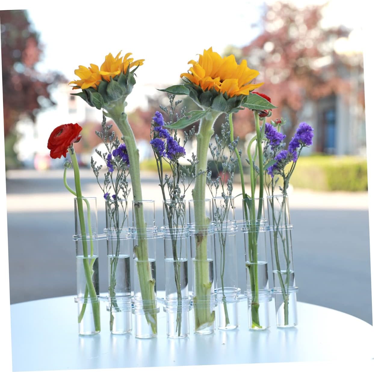 GLEAVI 1Set Hydroponics Vase Test Tube Plant Holder for Home Decoration Elegant Terrarium for Water Plants Air Plants and Floral Arrangements for Desktop Shelf