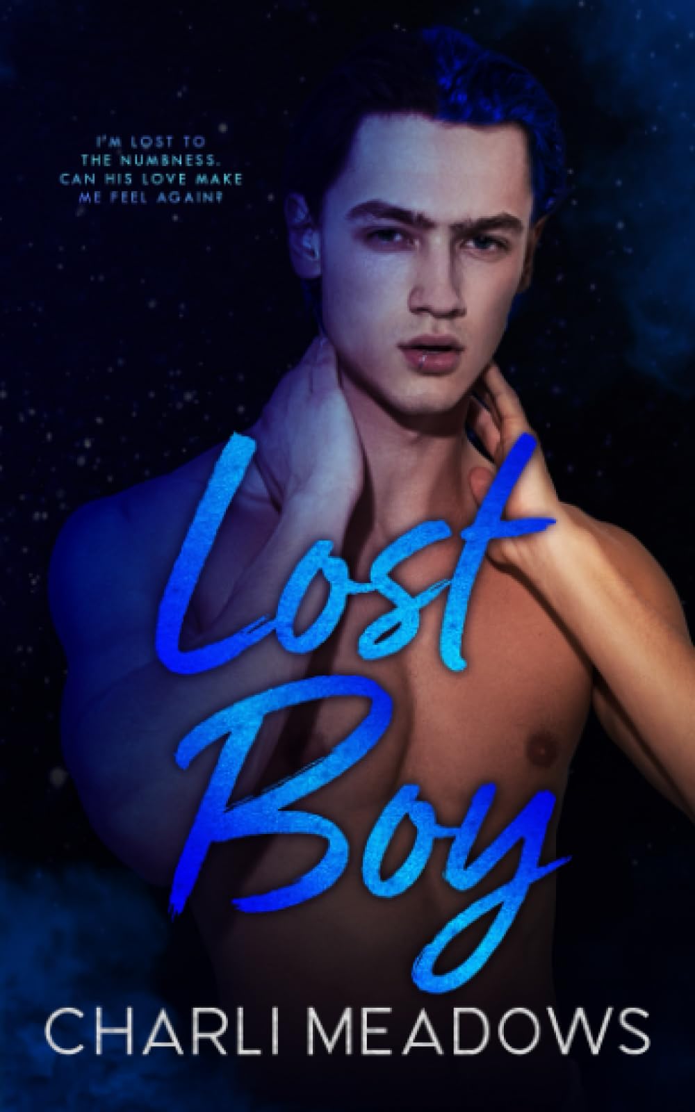Lost Boy (The Loyal Boys)