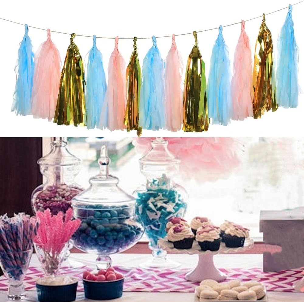15 PCS Gender Reveal Tassel Garland Wall Hanging Colorful Tassel Banner,Table Decor for Birthday,Bridal/Baby Shower,Anniversary,DIY Kits