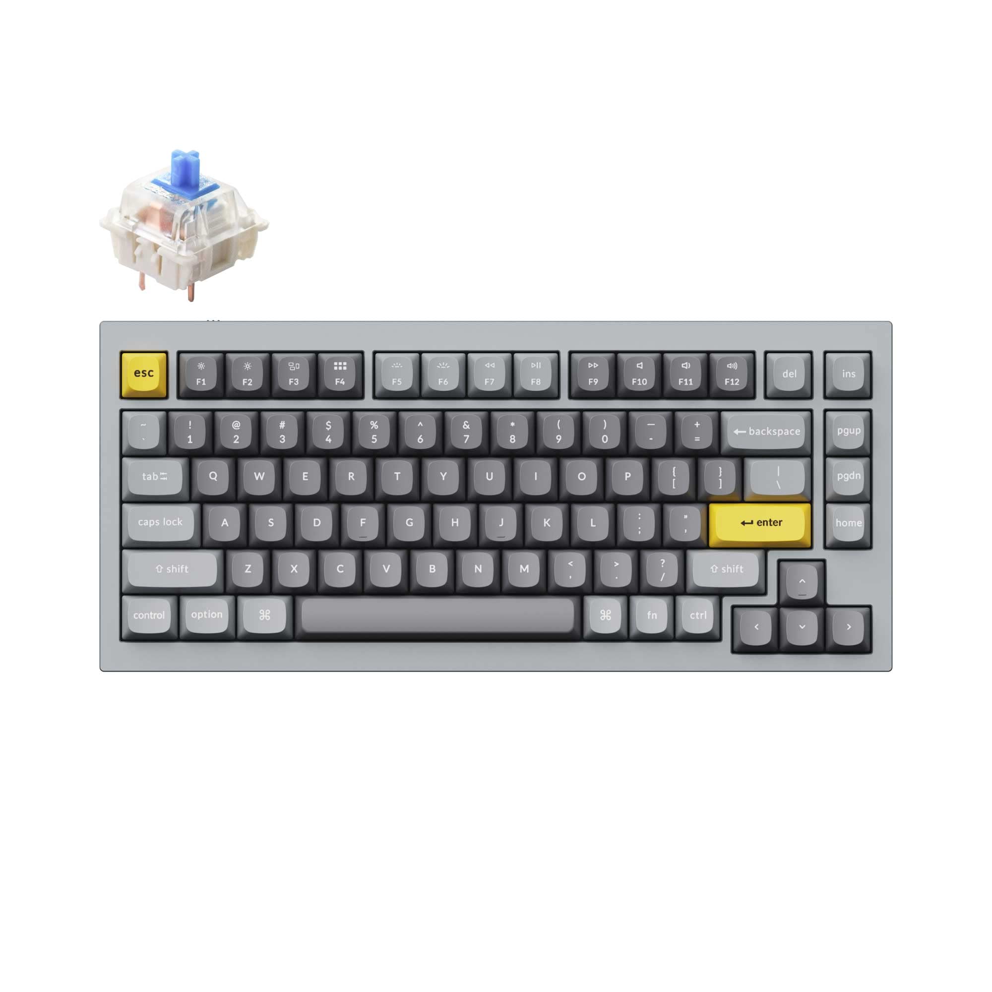 Amazon.com: Keychron Q1 75% Layout RGB Hot-swappable Wired Custom