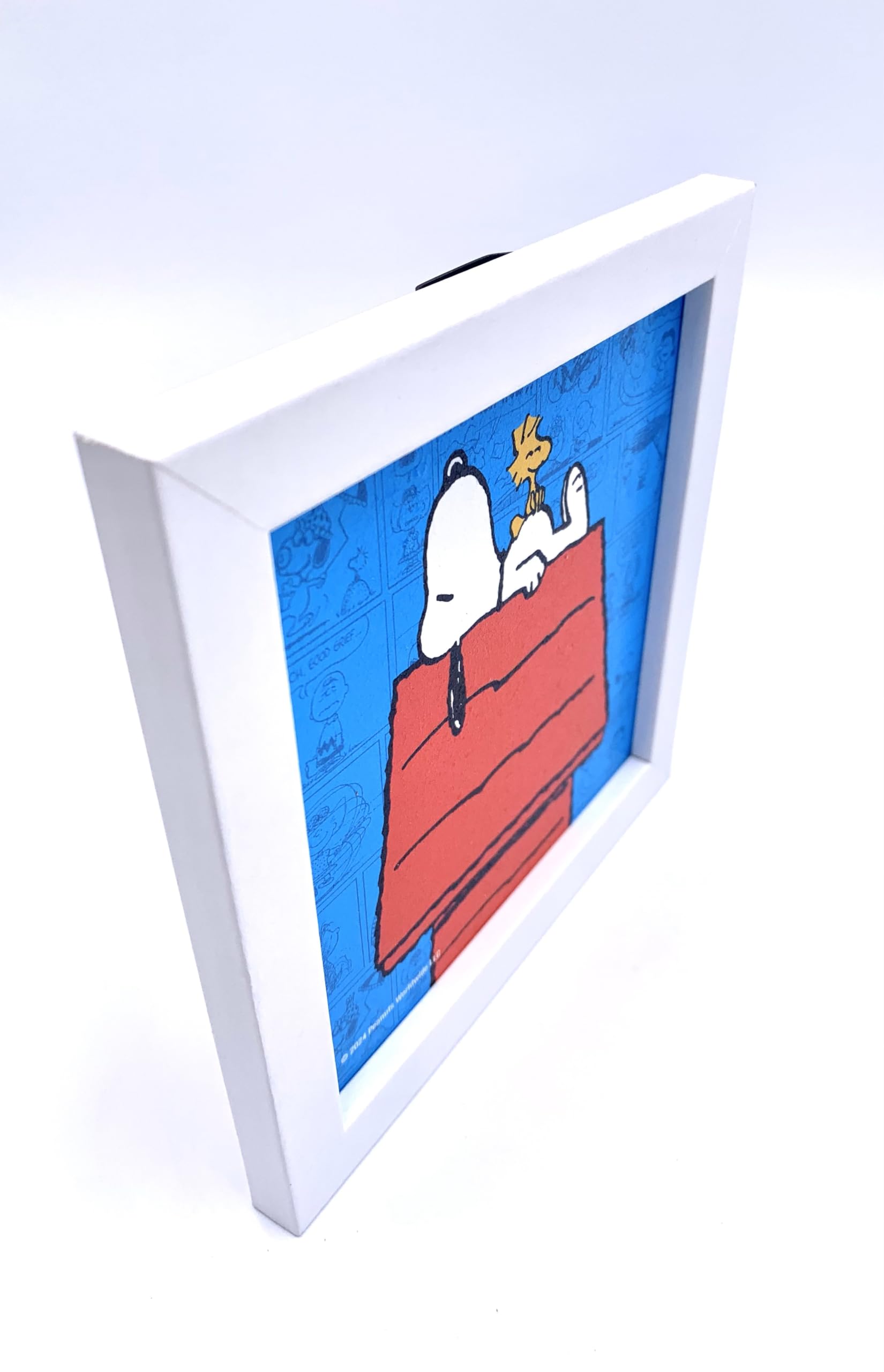 Amazon.com: Silver Buffalo Peanuts Snoopy and Woodstock on Dog