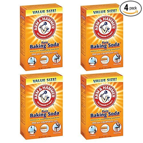 Arm & Hammer Baking Soda4LB (01170) WantItAll