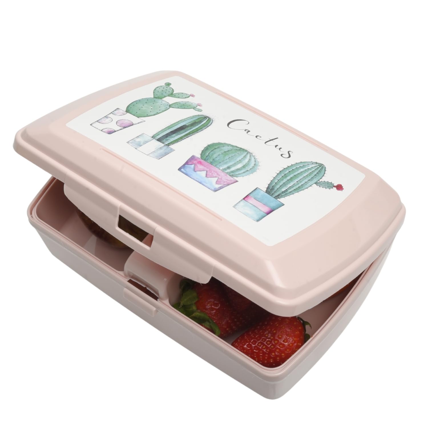 Plastic Lunch Box Kids 2 Compartments 1.3L Boys Girls School Trip Cute Graphic Picnic (Pink Cactus)