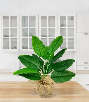 Artificial Flower Linen Straw Flower Pots Green Banana Leafy 12Dal 50cm Salon Flower Artificial Plant