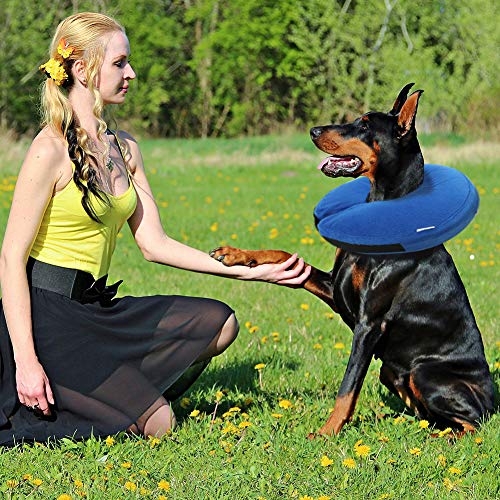 AhlsenL Inflatable Comfy Cone for Dogs Cats Protective Soft Pet Recovery Collar After Surgery Prevent Dogs from Biting & Scratching(M)