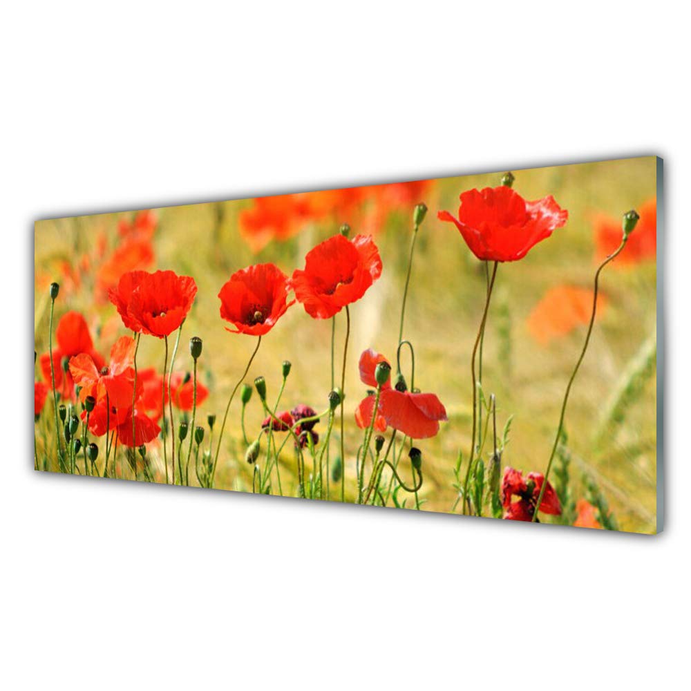 Impression sur verre trempé 125x50cm Tulup pour remplacer les tableaux ternes par des coquelicots