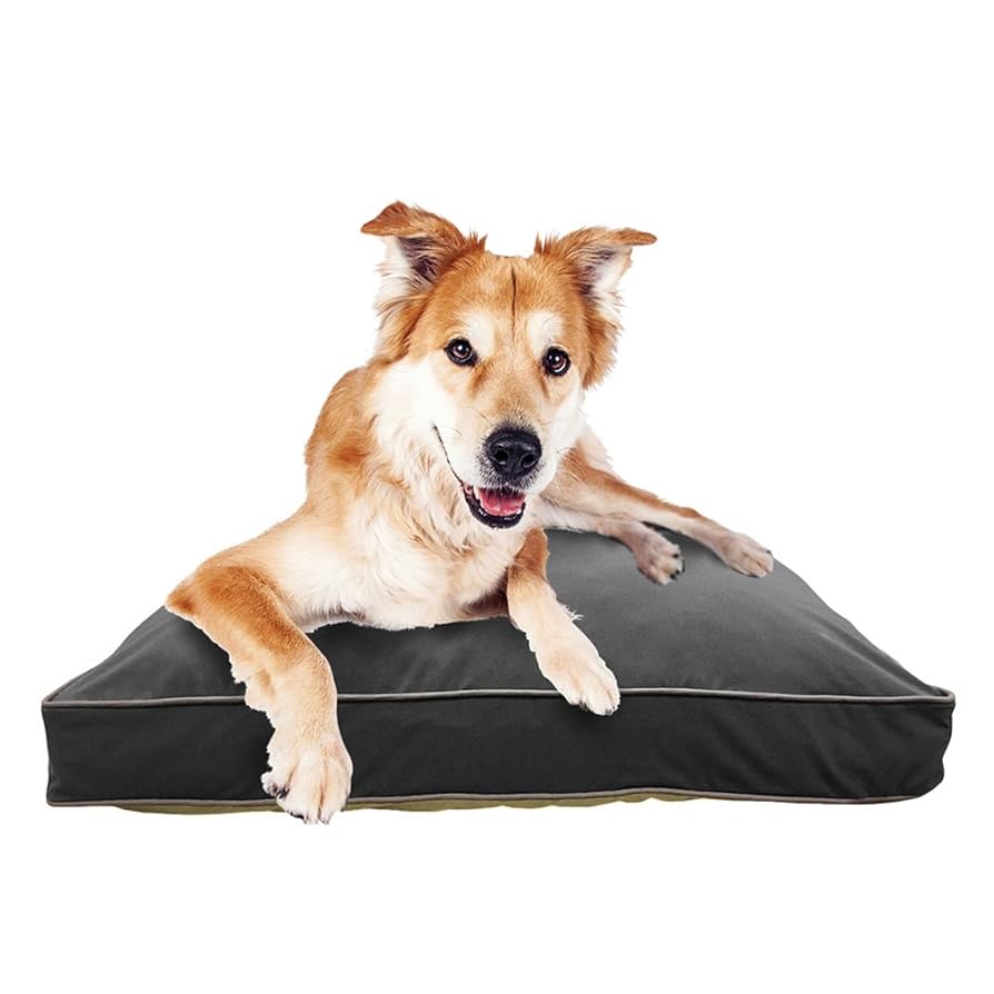 【スラッシュ】ヨギボー ドギボー ミディ ダークグレー Amazon | Doggybo Midi ドギボー ミディ ダークグレー | Yogibo