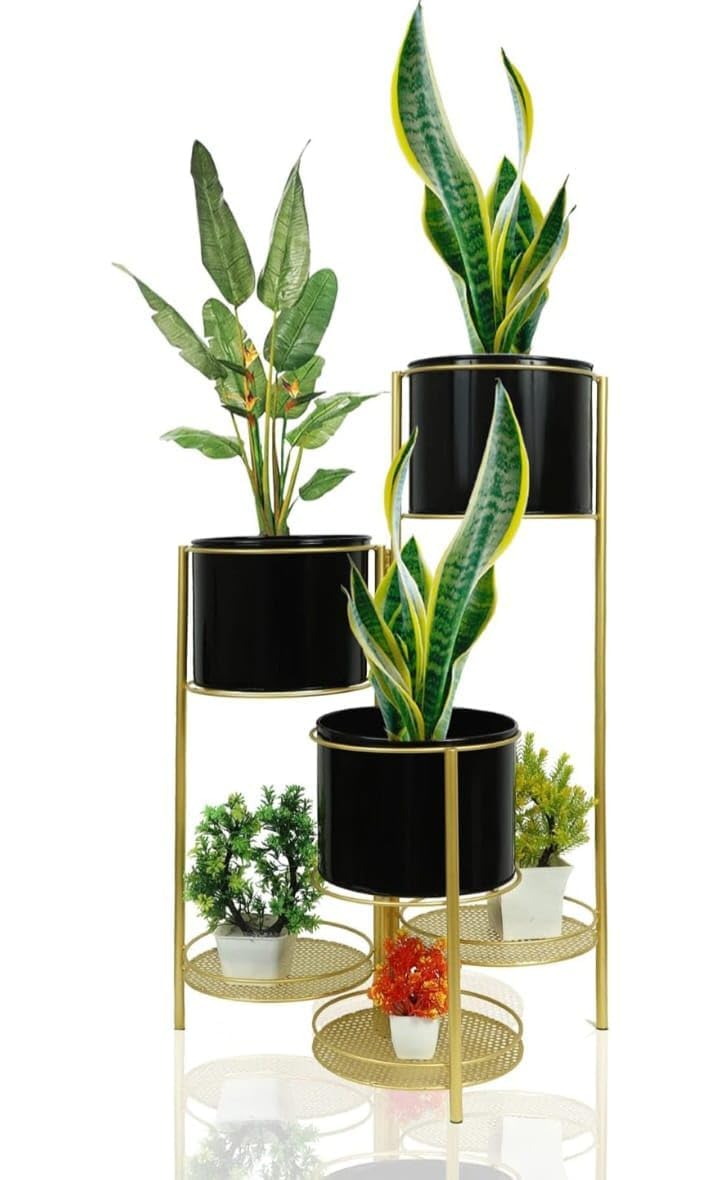 MR CLASSIC Iron 3 Tier Plant Stand for Living Room Bedroom Indoor Outdoor, Home & Garden Plant Stand (B0D8L3MLJ5) Amazon Price History, Amazon Price Tracker