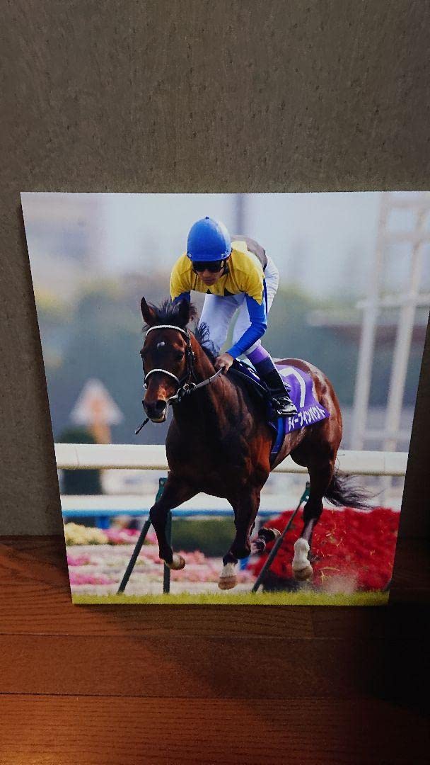 菊花賞馬ディープインパクト号パネル写真 菊花賞馬ディープインパクト号パネル写真 菊花賞馬ディープ