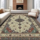ODIKA Ultra Soft Area Rug 3x5, Non Slip, Stain Resistant, Washable Area Rugs for Living Room, Bedroom, Ingress Influx Refreshed Rust Shedding Tome Mazzy Coin (Ivory, 3x5)